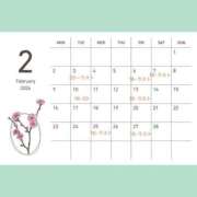 ヒメ日記 2026/01/26 13:01 投稿 かりな 天空のマット