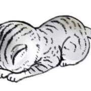 ヒメ日記 2026/02/10 16:29 投稿 かりな 天空のマット