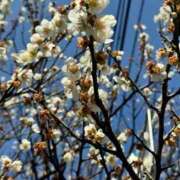 ヒメ日記 2026/03/01 14:33 投稿 かりな 天空のマット