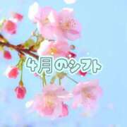 ヒメ日記 2026/03/29 21:20 投稿 もな 渋谷 風俗 奥様発情の会