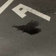 ヒメ日記 2026/03/08 12:02 投稿 まのん 川越ぽちゃまに