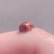 ヒメ日記 2026/03/19 09:52 投稿 まのん 川越ぽちゃまに