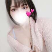 ヒメ日記 2026/02/18 12:30 投稿 はる セグレターリオ