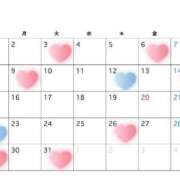 ヒメ日記 2026/02/27 19:45 投稿 はる セグレターリオ