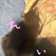 ヒメ日記 2025/12/11 21:59 投稿 れい サンキュー沼津店（サンキューグループ）