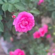 ヒメ日記 2025/12/12 11:51 投稿 れい サンキュー沼津店（サンキューグループ）