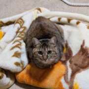 ヒメ日記 2026/01/18 14:31 投稿 れい サンキュー沼津店（サンキューグループ）