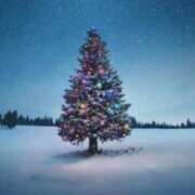 ヒメ日記 2025/12/24 08:37 投稿 れい 熟女家 十三店