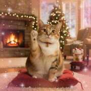 ヒメ日記 2025/12/21 00:20 投稿 ゆりあ 即トク奥さん