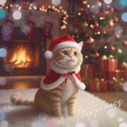 ヒメ日記 2025/12/25 21:26 投稿 ゆりあ 即トク奥さん