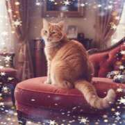 ヒメ日記 2026/01/25 22:20 投稿 ゆりあ 即トク奥さん