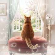 ヒメ日記 2026/03/12 23:55 投稿 ゆりあ 即トク奥さん