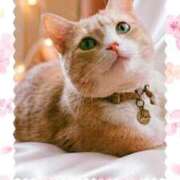 ヒメ日記 2026/03/27 23:30 投稿 ゆりあ 即トク奥さん