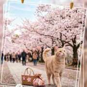 ヒメ日記 2026/03/28 09:22 投稿 ゆりあ 即トク奥さん