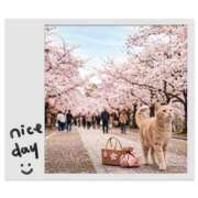 ヒメ日記 2026/04/01 13:25 投稿 ゆりあ 即トク奥さん