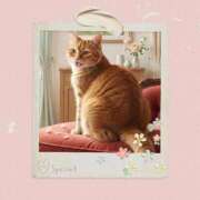 ヒメ日記 2026/04/01 13:40 投稿 ゆりあ 即トク奥さん