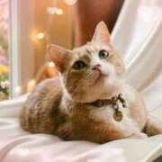 ヒメ日記 2026/04/03 13:40 投稿 ゆりあ 即トク奥さん