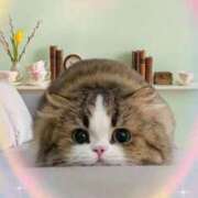 ヒメ日記 2026/04/08 00:01 投稿 ゆりあ 即トク奥さん