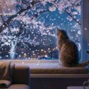 ヒメ日記 2026/04/13 12:16 投稿 ゆりあ 即トク奥さん