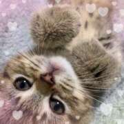 ヒメ日記 2026/04/22 22:20 投稿 ゆりあ 即トク奥さん