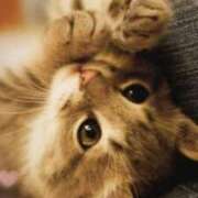 ヒメ日記 2026/04/22 22:40 投稿 ゆりあ 即トク奥さん