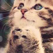 ヒメ日記 2026/04/22 23:44 投稿 ゆりあ 即トク奥さん