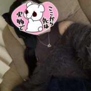 ヒメ日記 2025/12/30 10:33 投稿 りり 沖縄素人図鑑