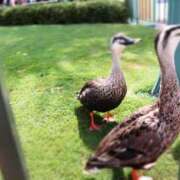 ヒメ日記 2026/01/11 20:48 投稿 りり 沖縄素人図鑑