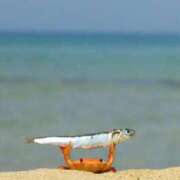 ヒメ日記 2026/01/24 19:04 投稿 りり 沖縄素人図鑑