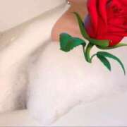 ヒメ日記 2026/02/05 11:57 投稿 りり 沖縄素人図鑑