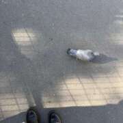 ヒメ日記 2026/03/02 13:12 投稿 りり 沖縄素人図鑑