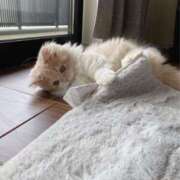 ヒメ日記 2026/03/09 10:18 投稿 りり 沖縄素人図鑑