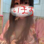 ヒメ日記 2026/07/03 23:50 投稿 りさこ プレイガール(亀有)
