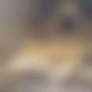 かぐや 生きがい ハピネス札幌