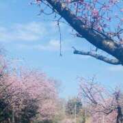 ヒメ日記 2026/03/15 09:40 投稿 りりあ 千葉ミセスアロマ（ユメオト）