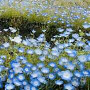 りりあ 次回の出勤は4/15(水)でお待ちしてますm(_ _)m 千葉ミセスアロマ（ユメオト）