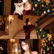 ヒメ日記 2025/12/25 00:19 投稿 ちひろ 出会い系人妻ネットワーク さいたま～大宮編