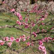 ヒメ日記 2026/03/05 18:02 投稿 このあ 秋葉原コスプレ学園in西川口