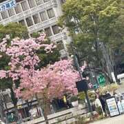 ほづみ 春を感じる ハピネス札幌