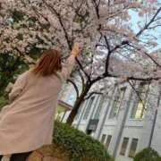 ヒメ日記 2025/12/23 07:21 投稿 もな 水戸ソープランド　水戸スリーナイン(9990)