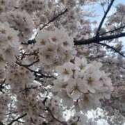 ヒメ日記 2026/04/05 17:35 投稿 三春　れんか OL精薬