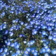 ヒメ日記 2026/05/04 06:45 投稿 三春　れんか OL精薬