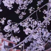 ヒメ日記 2026/04/09 17:22 投稿 えみ 秋葉原コスプレ学園(AKG)