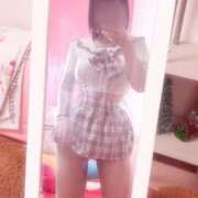 ヒメ日記 2025/12/25 17:24 投稿 みくる 子猫カフェ 小倉店