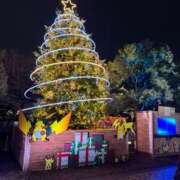 ヒメ日記 2025/12/25 03:52 投稿 りお ロイヤルヴィトン(宇都宮)