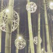 ヒメ日記 2025/12/12 17:30 投稿 れいか『熟女』 奥様アテンド