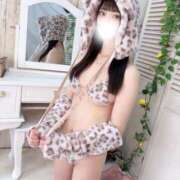 金子める 今日から💓 ブルーバード