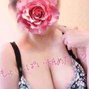 ヒメ日記 2025/12/15 14:38 投稿 メガマウスザメ 女の子市場