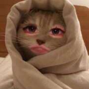 ヒメ日記 2026/02/21 19:08 投稿 リゼ バニーコレクション新潟店