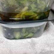 ヒメ日記 2026/03/16 10:42 投稿 リゼ バニーコレクション新潟店